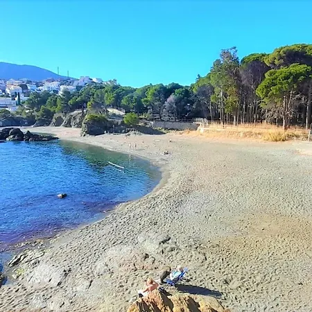 Reformado Con Jardin Y Terraza Frente Al Mar En Cap Ras, Cerca De Llanca, Acepta Mascotas - Es-170-29 Llanca