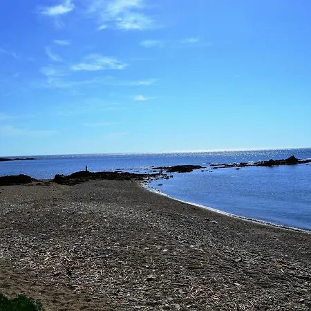 Reformado Con Jardin Y Terraza Frente Al Mar En Cap Ras, Cerca De Llanca, Acepta Mascotas - Es-170-29 Apartment Llanca
