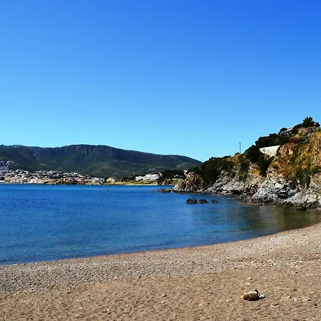 Reformado Con Jardin Y Terraza Frente Al Mar En Cap Ras, Cerca De Llanca, Acepta Mascotas - Es-170-29 Apartment Llanca